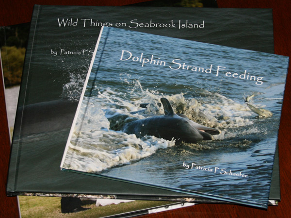 book-dolphin-strand-feeding